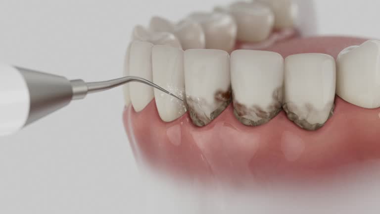 Reliable Dental contractor in Annapolis, MD by Dentist Open Now